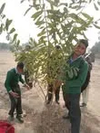 Green Seekers Activity